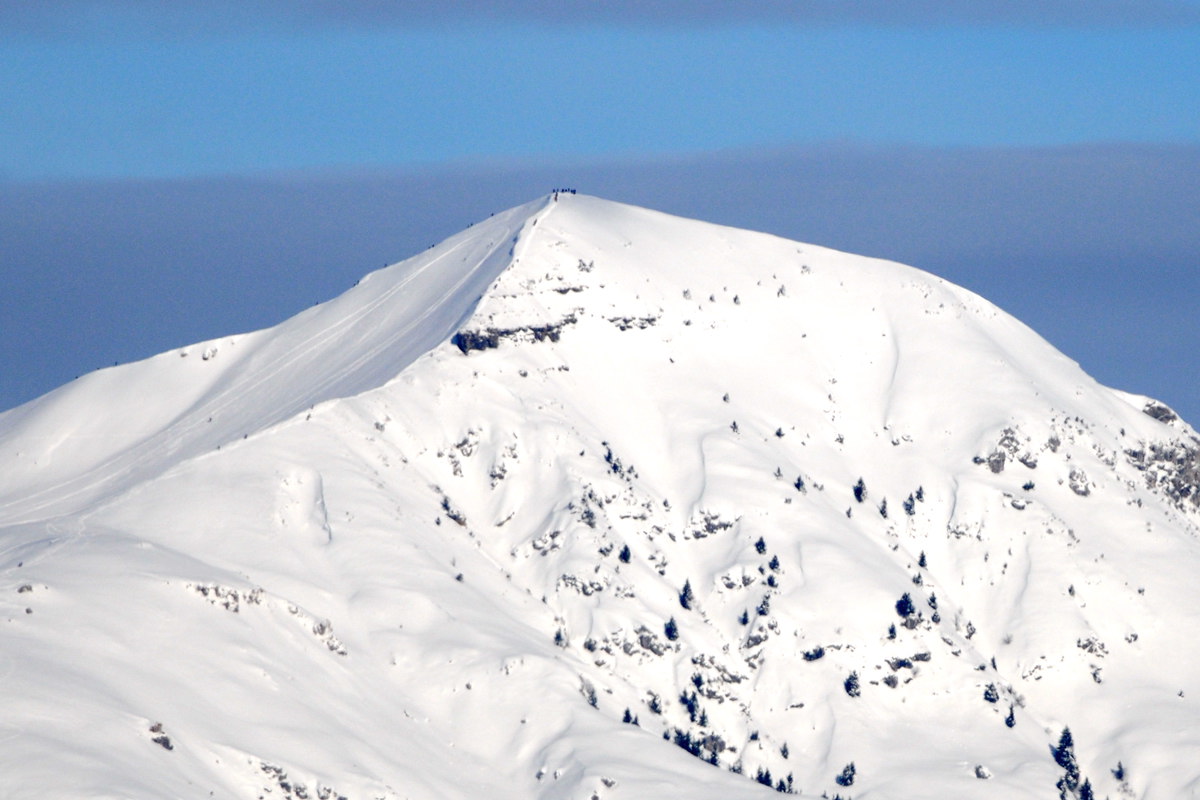 Aiuto riconoscimento Orobie, Prealpi bergamasche e bresciane